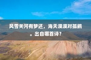风雪关河有梦还，海天漠漠对孤鹇。出自哪首诗？