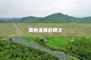 离析涣奔的释义