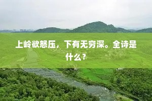 上岭欲怒压，下有无穷深。全诗是什么？
