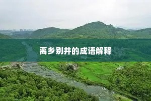 离乡别井的成语解释