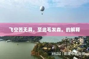 飞空苦无具，至此毛发森。的解释