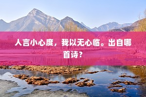 人言小心度，我以无心临。出自哪首诗？