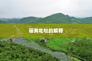 骊黄牝牡的解释