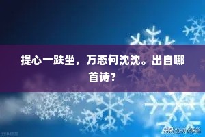 提心一趺坐，万态何沈沈。出自哪首诗？