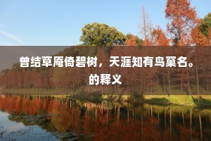 曾结草庵倚碧树，天涯知有鸟窠名。的释义