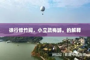 徐行修竹间，小立疏梅罅。的解释