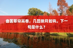 曲罢翠帘高卷，几回新月如钩。下一句是什么？