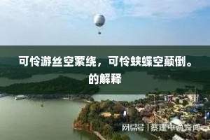 可怜游丝空萦绕，可怜蛱蝶空颠倒。的解释