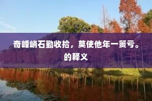 奇峰峭石勤收拾，莫使他年一篑亏。的释义
