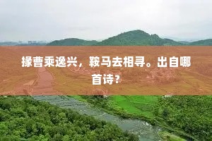 掾曹乘逸兴，鞍马去相寻。出自哪首诗？