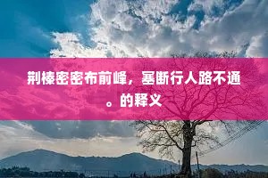 荆榛密密布前峰，塞断行人路不通。的释义