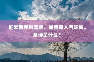 谁云前辈风流尽，尚有斯人气味同。全诗是什么？