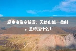 蟾生海岸空弦湿，天倚山城一盖斜。全诗是什么？