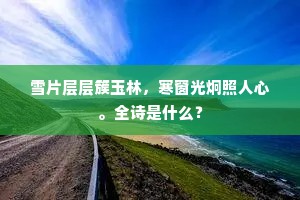 雪片层层簇玉林，寒窗光炯照人心。全诗是什么？