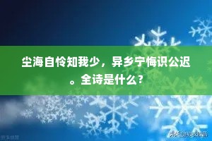 尘海自怜知我少，异乡宁悔识公迟。全诗是什么？