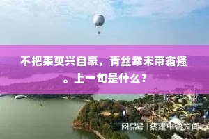 不把茱萸兴自豪，青丝幸未带霜搔。上一句是什么？