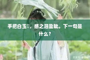 手把白玉玦，感之泪盈眦。下一句是什么？