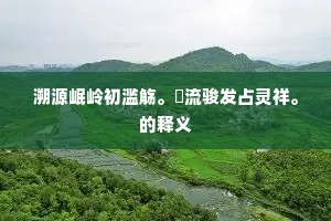 溯源岷岭初滥觞。溁流骏发占灵祥。的释义