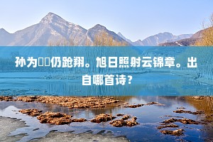 孙为鷟鸑仍跄翔。旭日照射云锦章。出自哪首诗？