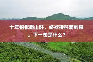 十年怊怅蹑山阡，终欲持杯滴到泉。下一句是什么？