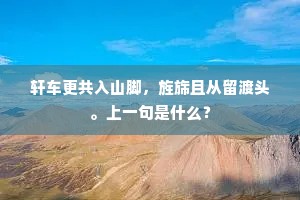 轩车更共入山脚，旌旆且从留渡头。上一句是什么？