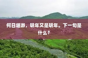何日堪游，明年又是明年。下一句是什么？
