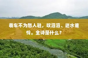 羲车不为愁人驻，叹滔滔、逝水谁怜。全诗是什么？