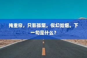 掩重帘，只影孤檠，似幻如烟。下一句是什么？