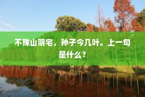 不殊山阴宅，孙子今几叶。上一句是什么？