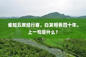 谁知五度经行客，白发相看四十年。上一句是什么？