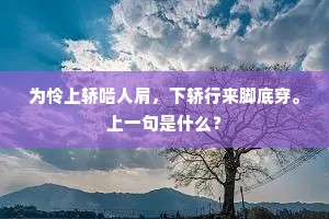 为怜上轿啮人肩，下轿行来脚底穿。上一句是什么？