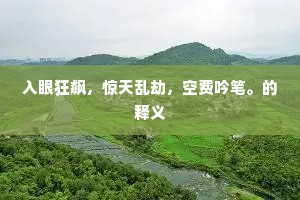 入眼狂飙，惊天乱劫，空费吟笔。的释义