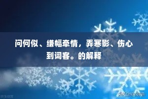 问何似、缣幅牵情，弄寒影、伤心到词客。的解释