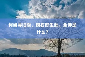 何当寻旧隐，泉石好生涯。全诗是什么？