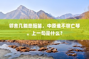 邻舍几能悲短笛，中原谁不叹亡琴。上一句是什么？