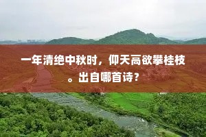 一年清绝中秋时，仰天高欲攀桂枝。出自哪首诗？