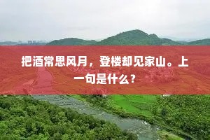 把酒常思风月，登楼却见家山。上一句是什么？