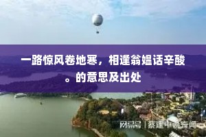 一路惊风卷地寒，相逢翁媪话辛酸。的意思及出处