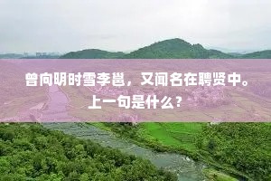 曾向明时雪李邕，又闻名在聘贤中。上一句是什么？