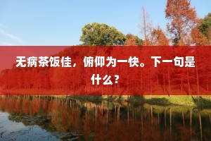 无病茶饭佳，俯仰为一快。下一句是什么？