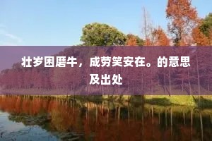 壮岁困磨牛，成劳笑安在。的意思及出处