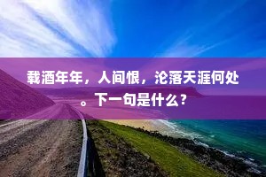 载酒年年，人间恨，沦落天涯何处。下一句是什么？
