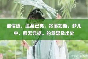 谁信道，温柔已矣，冷落如斯，梦儿中，都无凭据。的意思及出处