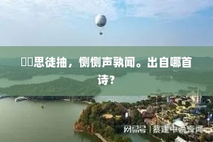 怞怞思徒抽，恻恻声孰闻。出自哪首诗？