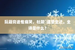 阮籍穷途惟痛哭，杜陵閒道望生还。全诗是什么？