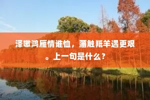 泽嗷鸿雁情谁恤，藩触羝羊遇更艰。上一句是什么？