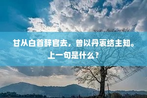 甘从白首辞官去，曾以丹衷结主知。上一句是什么？