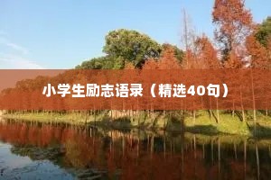 小学生励志语录（精选40句）