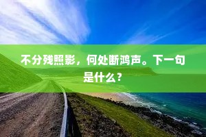 不分残照影，何处断鸿声。下一句是什么？