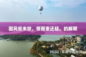 因风低未敛，带雨重还轻。的解释